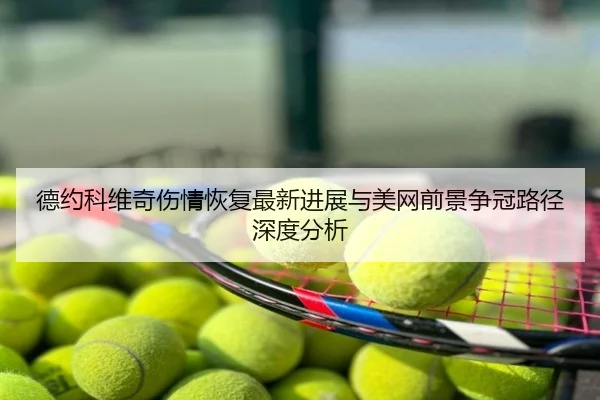 德约科维奇伤情恢复最新进展与美网前景争冠路径深度分析