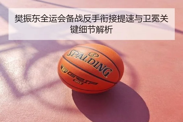 樊振东全运会备战反手衔接提速与卫冕关键细节解析