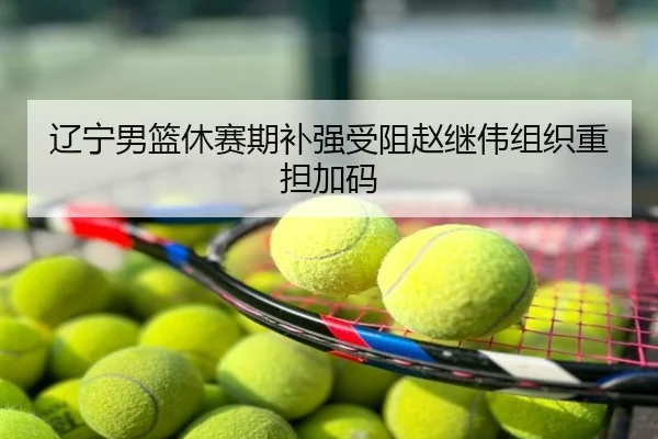 辽宁男篮休赛期补强受阻赵继伟组织重担加码